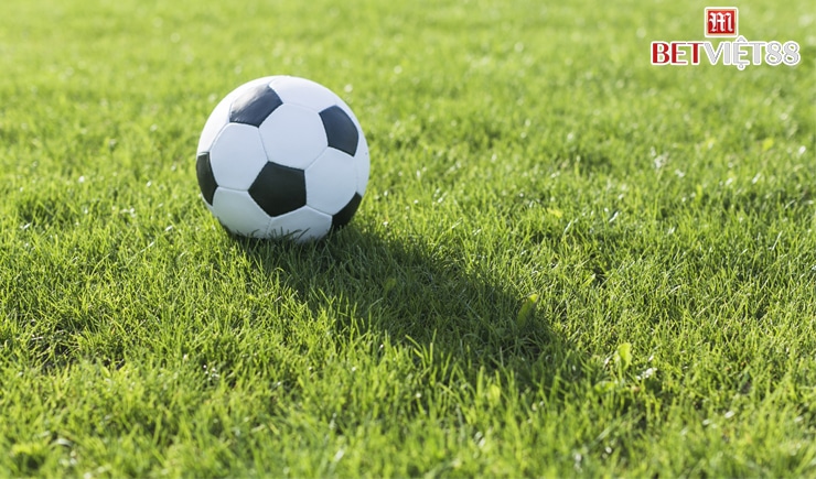 Tìm hiểu cách kiếm cỏ trong bóng đá